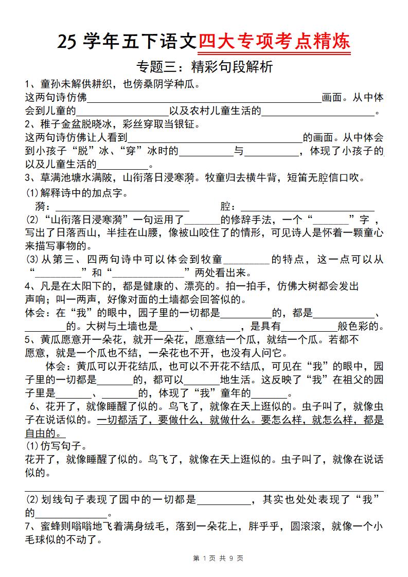 25学年五下语文四大专项考点精炼（专题三：精彩句段解析）-教辅资料